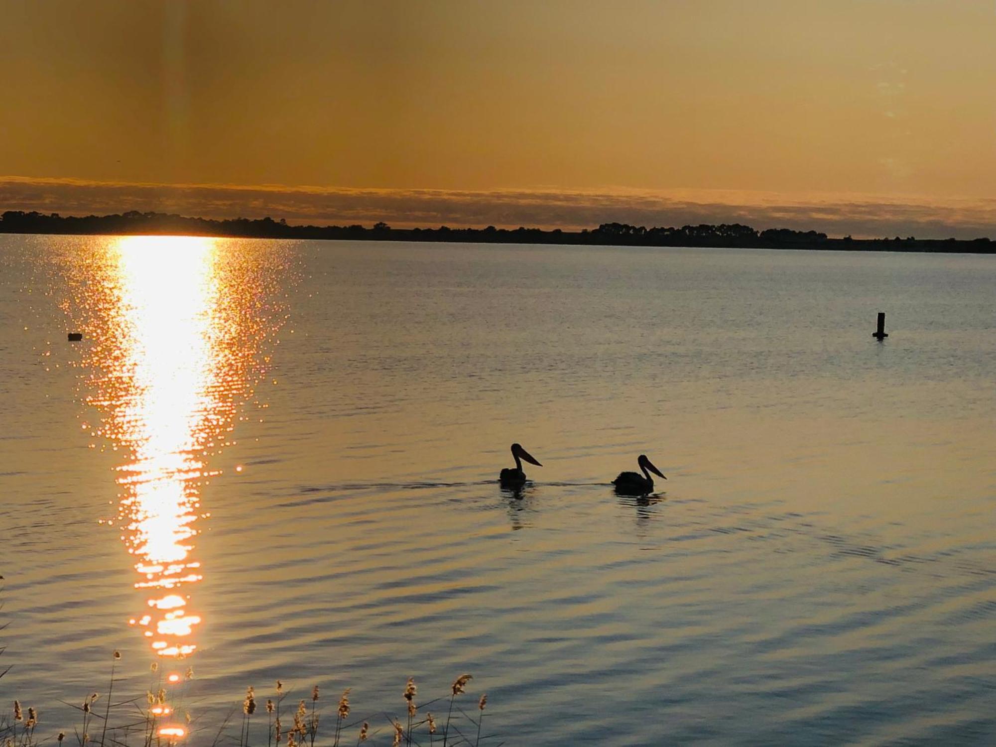 Lake Boga Caravan Park Экстерьер фото